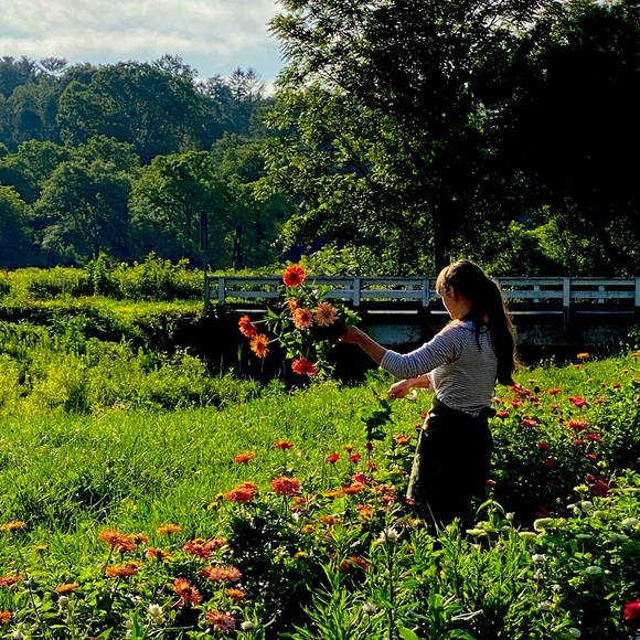 Meet your Posher, Kelsey - Picture 2 of 4